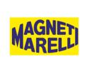 SHOCK ABSORBERS FRONT-BACK HOOD A166  MARELLI